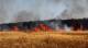 Пожар унищожи 380 декара с пшеница и 40 с рапица