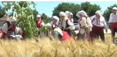 Зажънаха в &quot;Тунджа&quot;