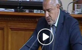 Министър председателят Борисов отговаря - какво работи Лиляна Павлова.