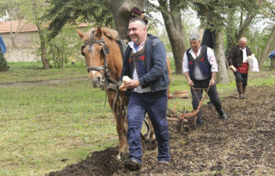 Традиционният празник „За хляба наш“ събра днес /ВИДЕО/