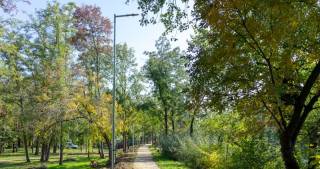 Община Ямбол изгражда осветление по крайречната алея в парка