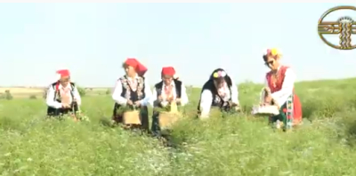 Неделно гледиво