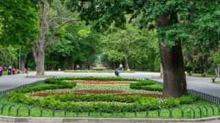 Над 31 000 цветя ще разцъфтят в Ямбол