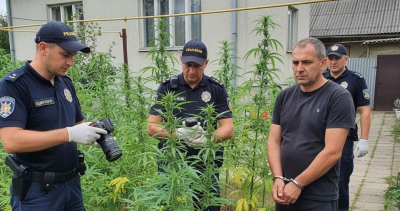 Задържаха на местопрестъплението 39-годишен за отглеждане на марихуана