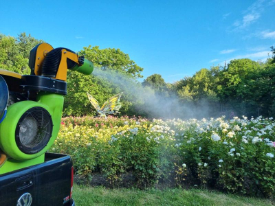 От 2 до 6 септември предстои поредна дезинсекция против комари в Ямбол