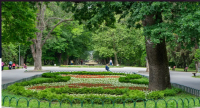 Две нови обществени поръчки на община Ямбол, /ЗА ЦВЕТЕН ГРАД/