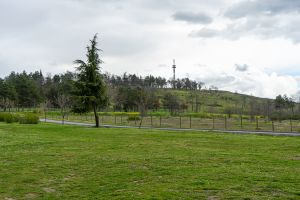 САМО ФАКТИ / допълнена/