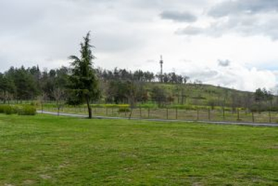 САМО ФАКТИ / допълнена/