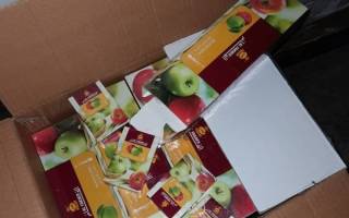 По искане на Окръжна прокуратура – Ямбол бе взета мярка за неотклонение „задържане под стража“