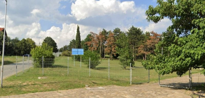 Ето къде може да засадите коледната си елха в Ямбол!