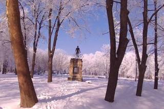 ВИДЕЛО - Зимният розариум на Ямбол /вече+/