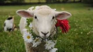 Гергьовден