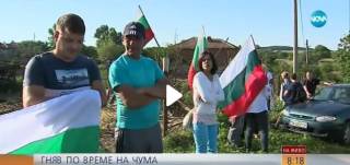 Днес, 15 юли Евтаназирането на овце и кози продължава /ВИДЕО НОВА ТЕЛЕВИЗИЯ, БтВ/