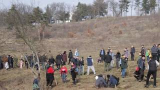 В Ямбол започна втората залесителна акция на Лесопарк „Боровец“.