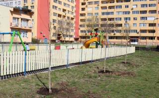 От Пресцентъра на община Ямбол съобщават за