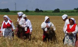 Община „Тунджа“ открива жътвената кампания