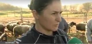 След като се оказаха здрави, трябва да бъдат ИЗБИТИ!?