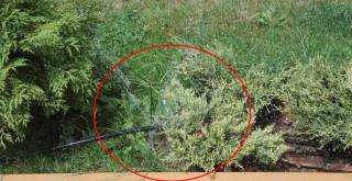 За умишлени повреди на напоителната система в централната градска част