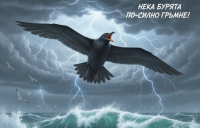 В Прозорчето на Алис