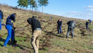 Второто залесяване на Лесопарк „Боровец“ ще e в събота