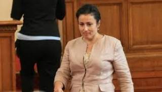 Министър Танева отговаря за миналогодишната евтаназия на животните в Странджа.