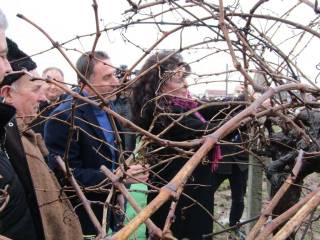 Официалната информация за празника в Стралджа