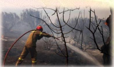 Колко ли души са се явили днес, колко ли са и ще откликнат на Обявата /не призива/ на РДПБЗН-Ямбол