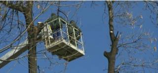 11 март – СМУЩЕНИЯ В ЕЛ.ЗАХРАНВАНЕТО в