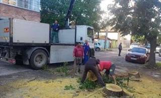 В Ямбол сечта продължава. Поредният &quot;труп&quot; падна на улица &quot;Ангел Кънчев&quot;.