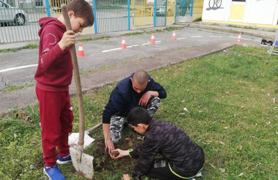 По повод Седмица на гората засадиха дръвчета