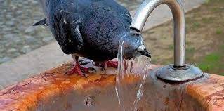 БЧК Указания за действие при възникване на