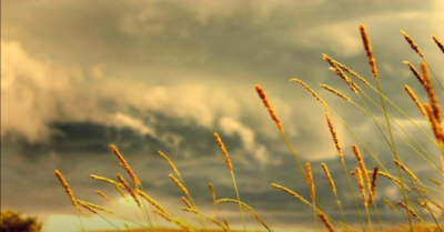 Дали не започва едно друго дълго страшно лято