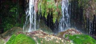 В уведомление до РИОСВ Стара Загора се съобщава, че ще се създава край Ямбол