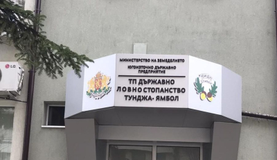 Община Ямбол приема заявления за дърва за огрев за лична употреба