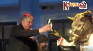 /и видео/ Златната кукерска хлопка - Специалната награда на