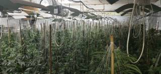 Триетажен наркокомплекс в Ямбол. /Съобщиха го най-сетне, пък само 1 задържан.../