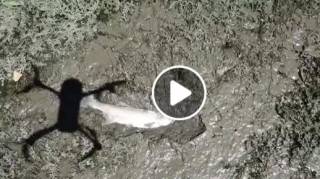 Върши ли се нещо по това? Цял един месец изтече...Сигурно има нещо, ама да знаем...