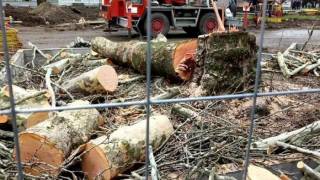 А КЕРВАНЪТ СИ ВЪРВИ.../СЛЕД СЕЧТА/