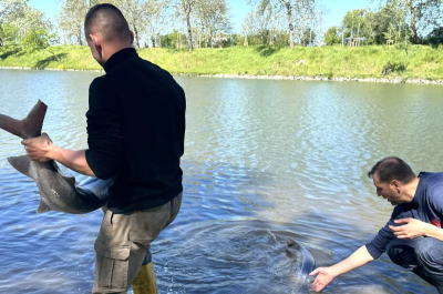 ЗАРИБЯВАНЕ От пресцентъра на Община Ямбол съобщиха, че