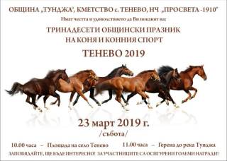 ТРИНАДЕСЕТИ ОБЩИНСКИ ПРАЗНИК НА КОНЯ И КОННИЯ СПОРТ
