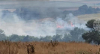 Продължават усилията за овладяване на пожара в землището на село Лесово