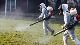 В 22 ч. Започват пръсканията срещу комари