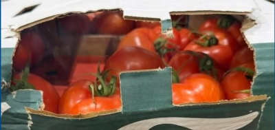 Хванаха 16 тона недекларирани зеленчуци за Украйна