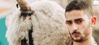 НА КУКЕРИАДА В НЕДЕЛЯ /СНИМКИТЕ/